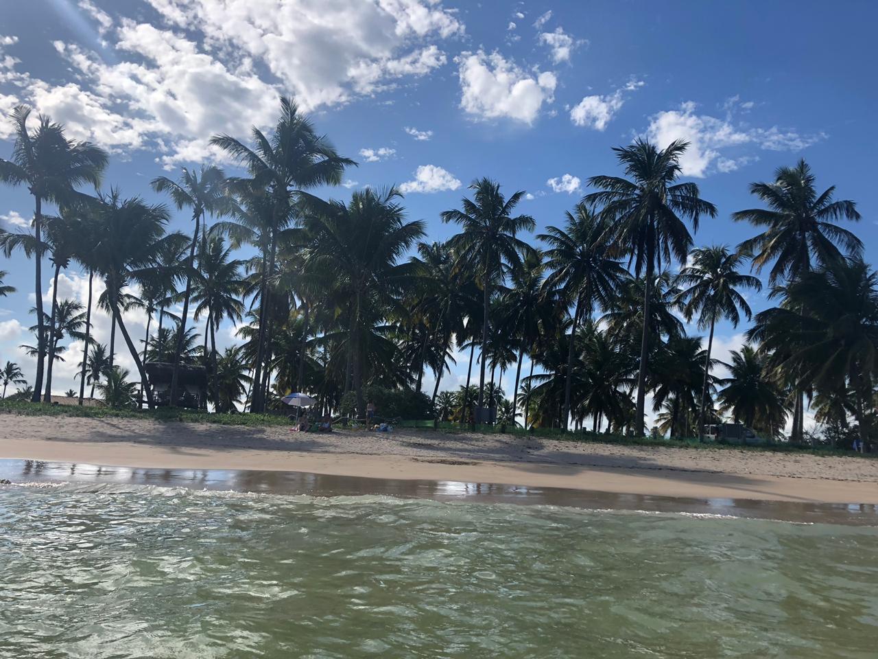 WhatsApp Image 2019-02-11 at 09.48.30.jpeg