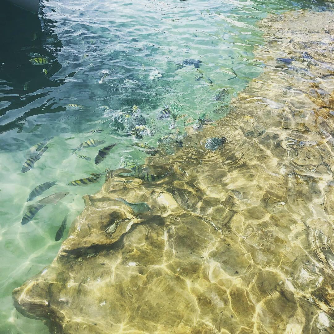 WhatsApp Image 2019-02-11 at 09.48.28 (1).jpeg