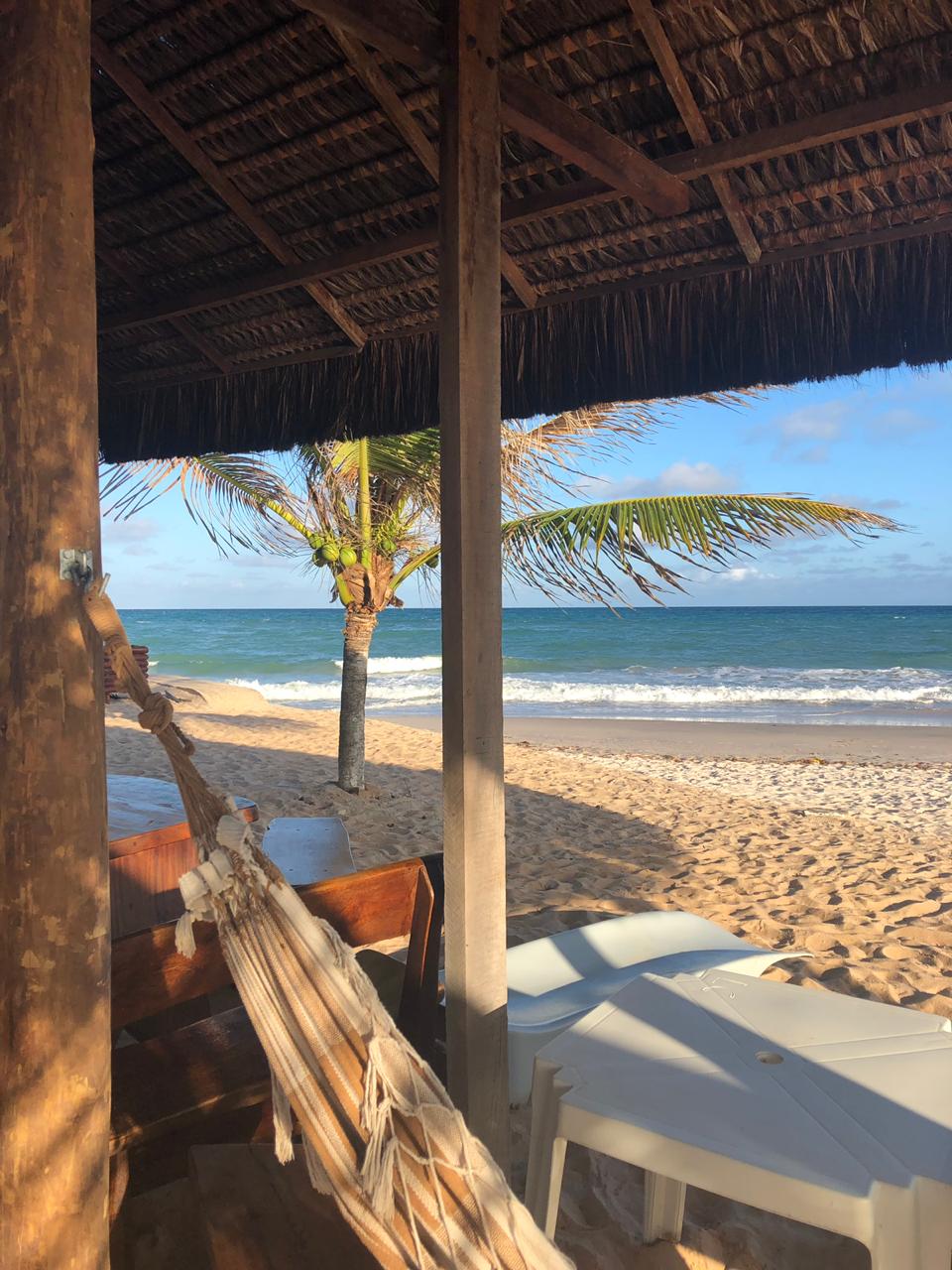 WhatsApp Image 2019-02-11 at 09.48.25.jpeg